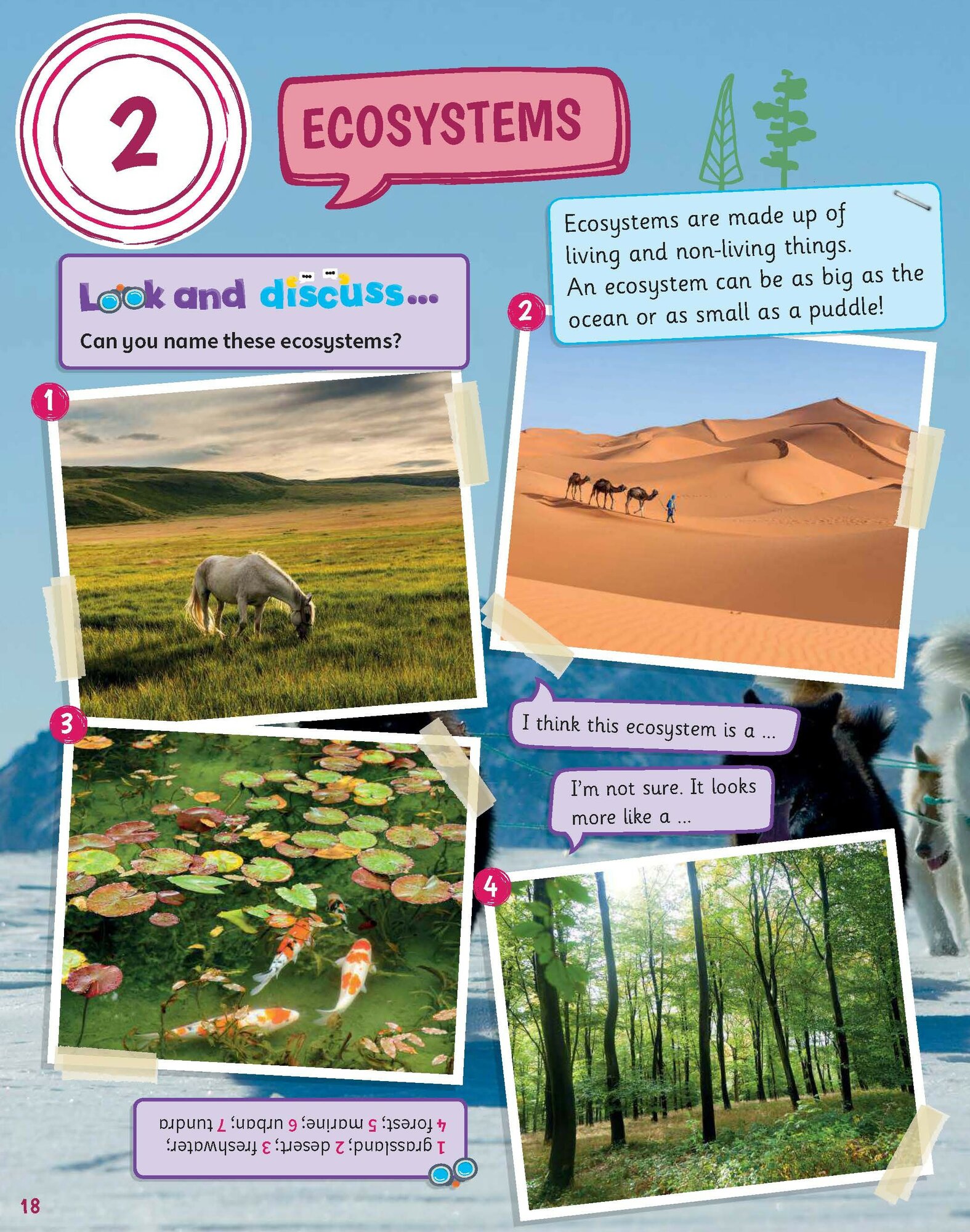 Science Skills. Level 5. Pupil's Book - фото №5