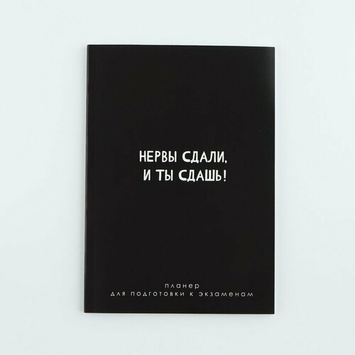 Планинг для подготовки к экзаменам А5 60 л Мягкая обложка Черный 347₽