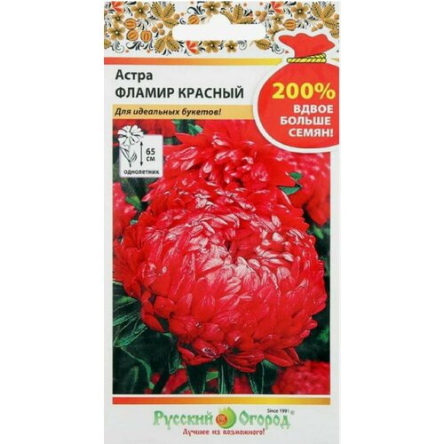 Астра Фламир красный