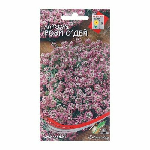 Семена цветов Алиссум Рози О Дей, 180 шт ( 1 упаковка ) лобулярия рози о дей семена цветы