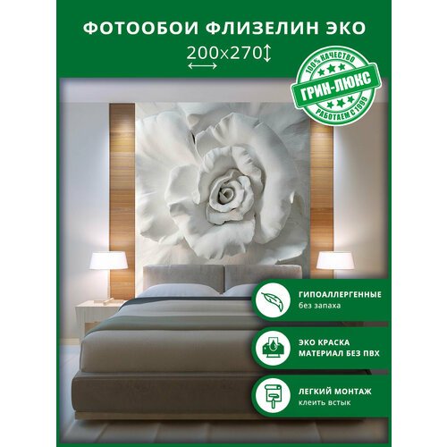 Фотообои на стену 