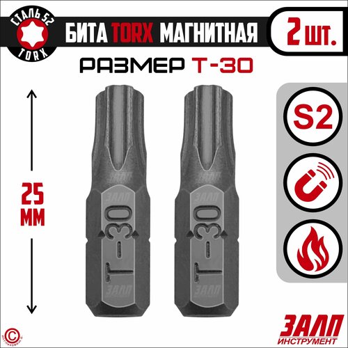 Биты магнитные TORX T30х25мм, 2 штуки / биты для шуруповертов 25 мм