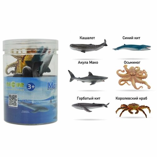 Набор больших фигурок Животный мир морей и океанов серия В, 6 шт. в тубе, Recur