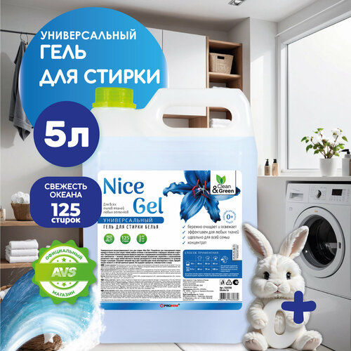 Гель для стирки Nice Gel универсальный концентрат 5 л CleanGreen CG8286 708₽