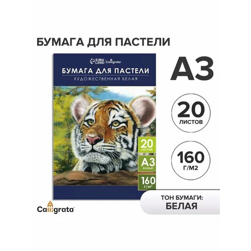 Бумага для пастели в папке А3 20 листов 767₽