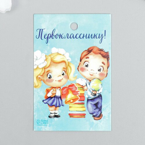 Бирка Первоклассники 4х6 см 40шт 385₽