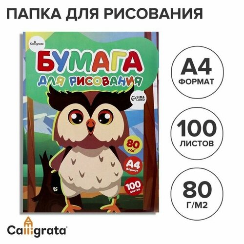 Бумага для рисования А4 100 листов Совенок Calligrata 80гм2 в папке 567₽