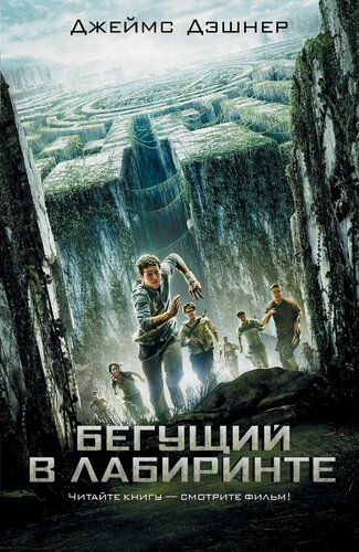 Изображение товара Бегущий в Лабиринте
