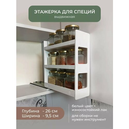Выдвижной органайзер для специй и приправ