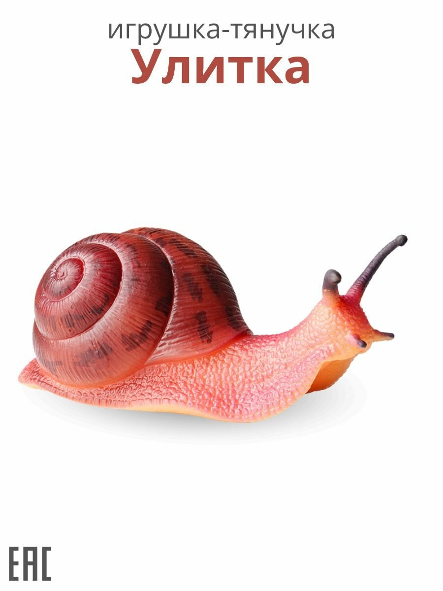 Улитка тянучка антистресс / Антистресс игрушка