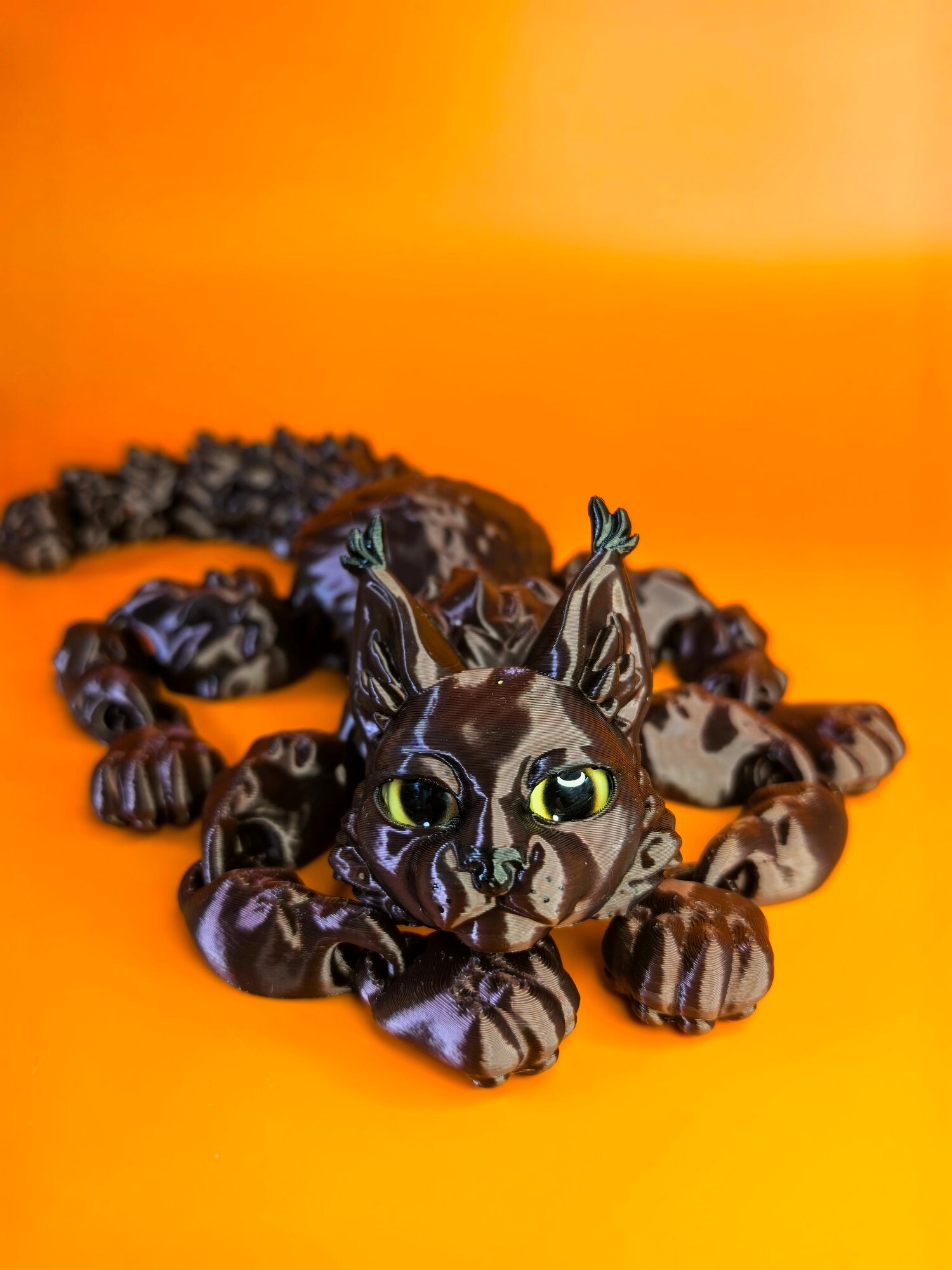 Мейн-кун подвижный — фото 1