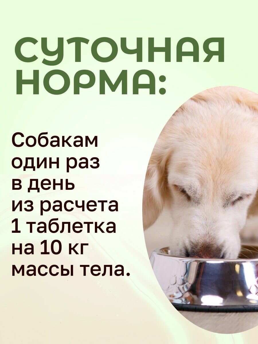 Изображение Кормовая добавка ProPhyto "OSTEOPLUS" 40 таблеток. ПроФито "Остеоплюс" для поддержания функций опорно-двигательного аппарата у кошек и собак