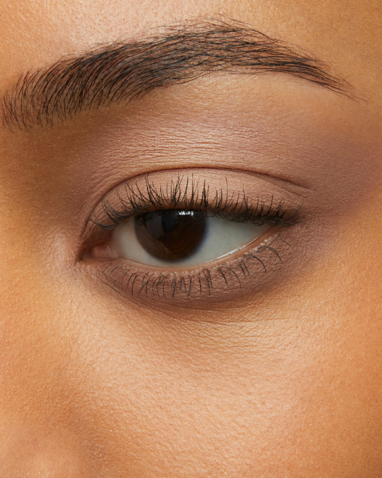 Тени для век Soft Matte FREEDOM, оттенок №801, матовый финиш — фото 1