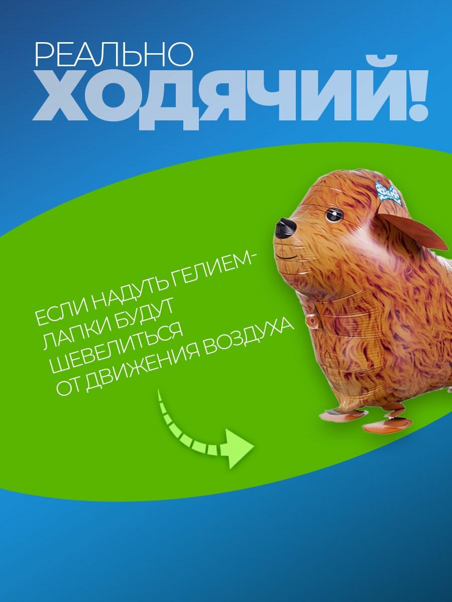 Фольгированные воздушные шары фотозона на день рождения — фото 1