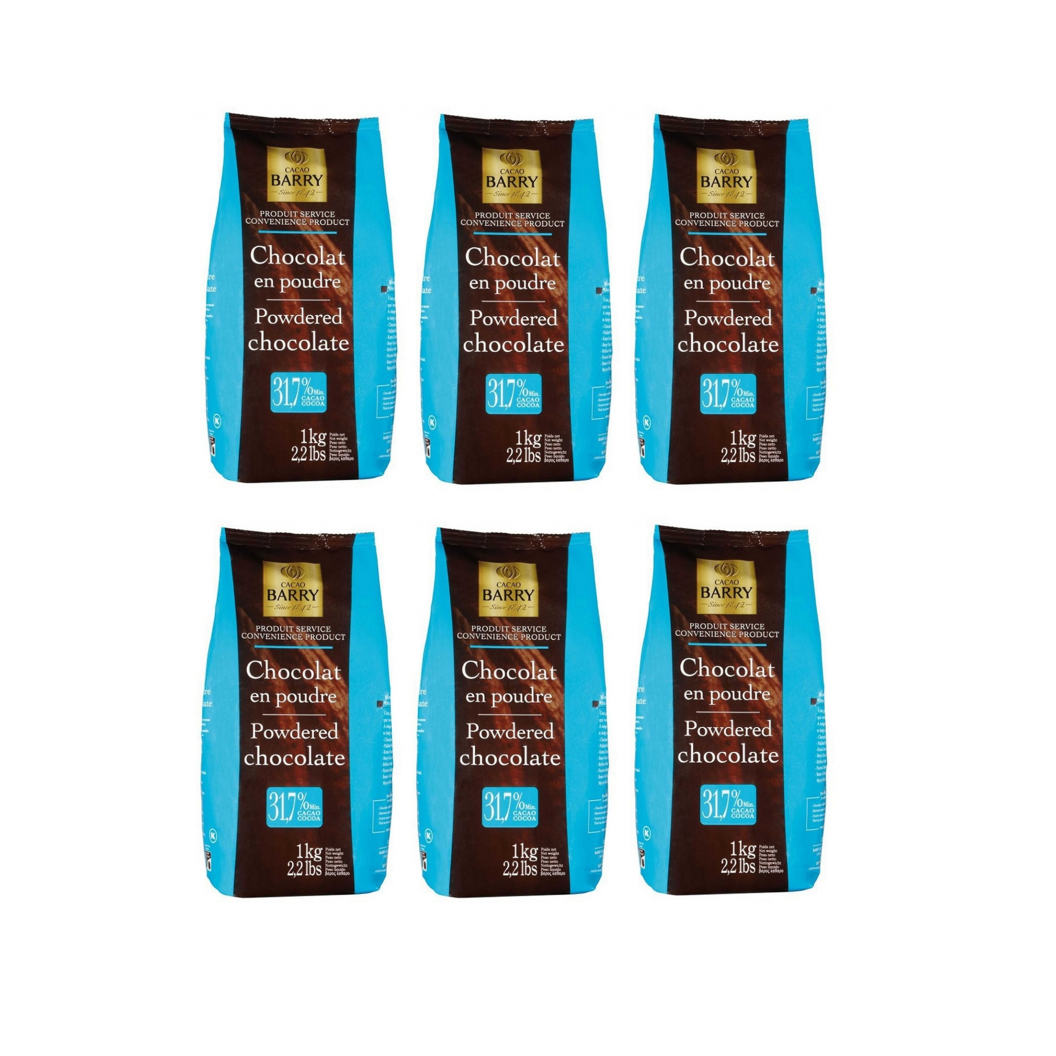Горячий шоколад Cacao Barry CHOCOLAT EN POUDRE, 1 кг, 6 шт.