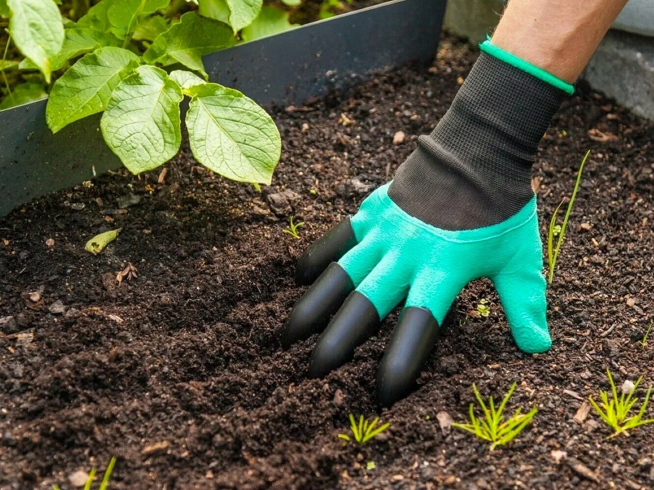 Садовые перчатки с когтями хозяйственные Garden Genie Gloves