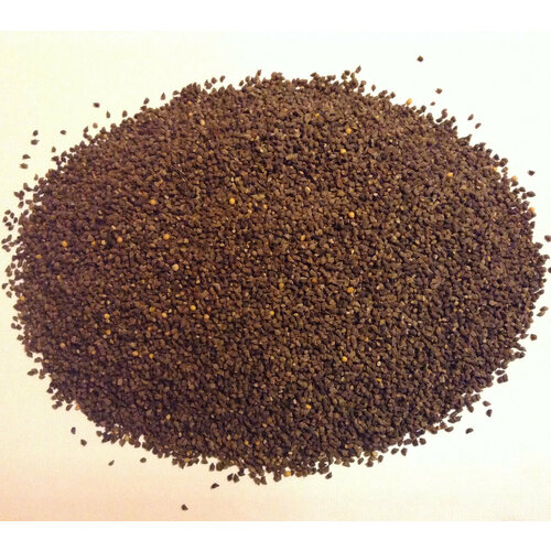 Семена Синяк обыкновенный 1 кг синяк обыкновенный лат echium vulgare семена150шт