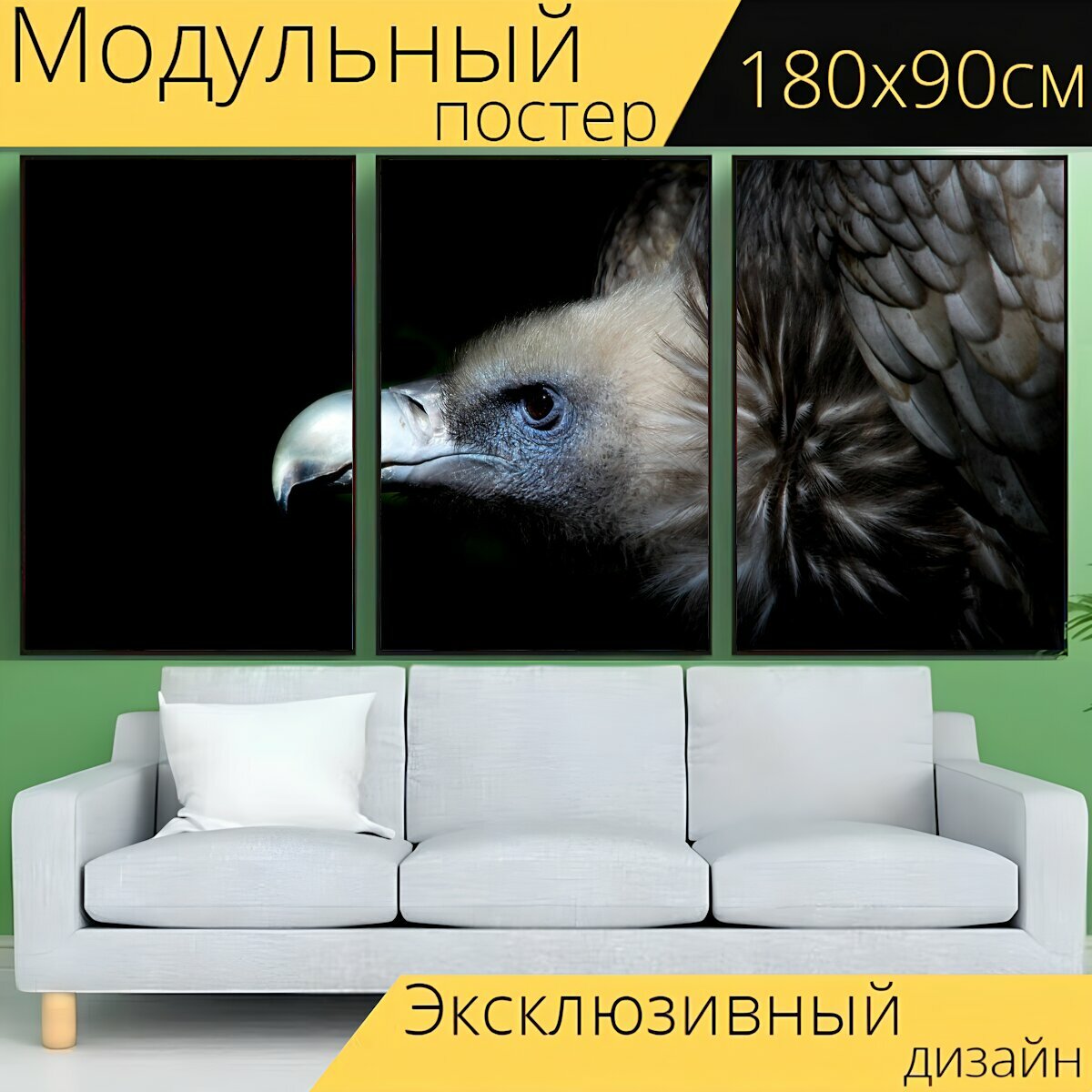 Модульный постер "Гриф, стервятник, птица" 180 x 90 см. для интерьера