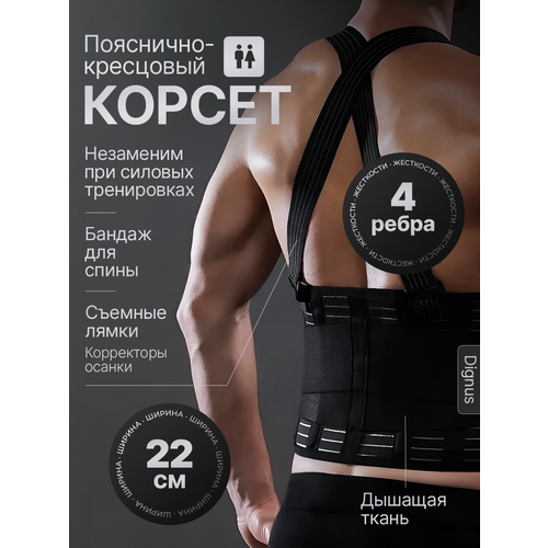 Корсет пояснично-крестцовый Dignus. Женский, мужской. 4 ребра жесткости. Съемные лямки - корректоры осанки. Ширина 22 см. Дышащая ткань. Незаменим при силовых тренировках.