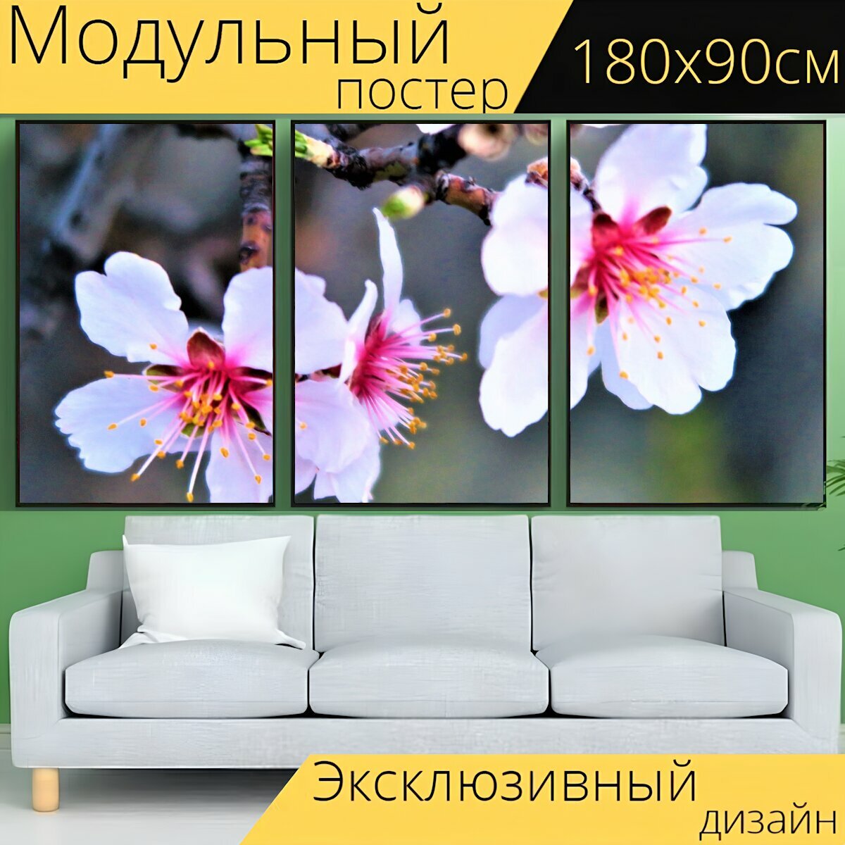 Модульный постер "Цветок, весна, дерево" 180 x 90 см. для интерьера