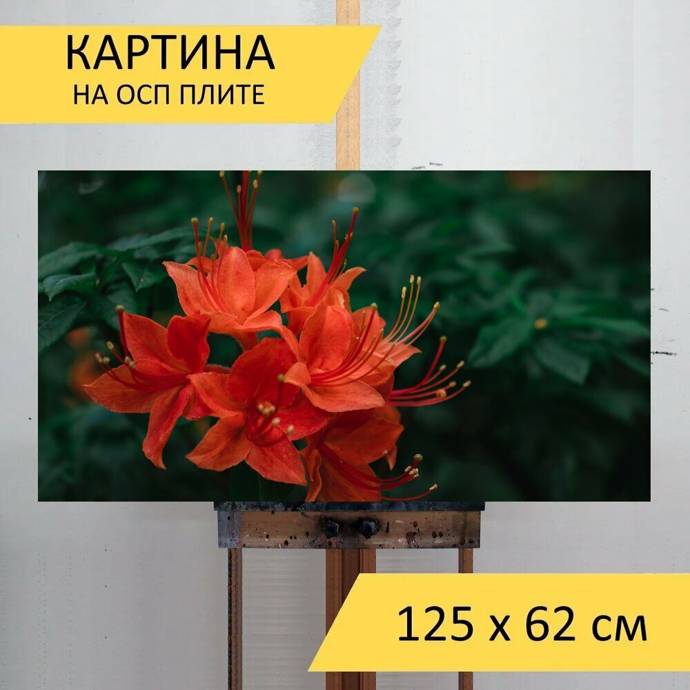 Картина на ОСП 125х62 см. 