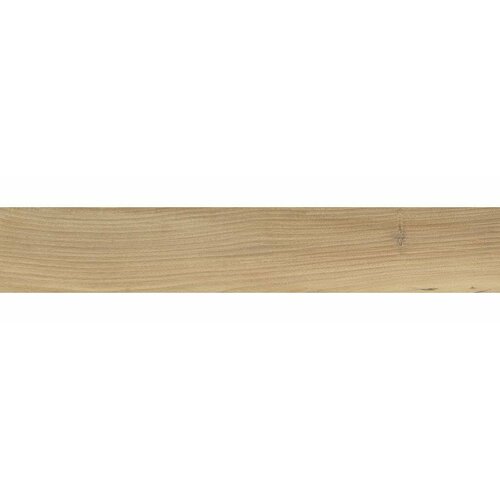 Плитка из керамогранита Geotiles MILTON MIEL мат для стен и пола, универсально 10x60 (цена за 1.08 м2)