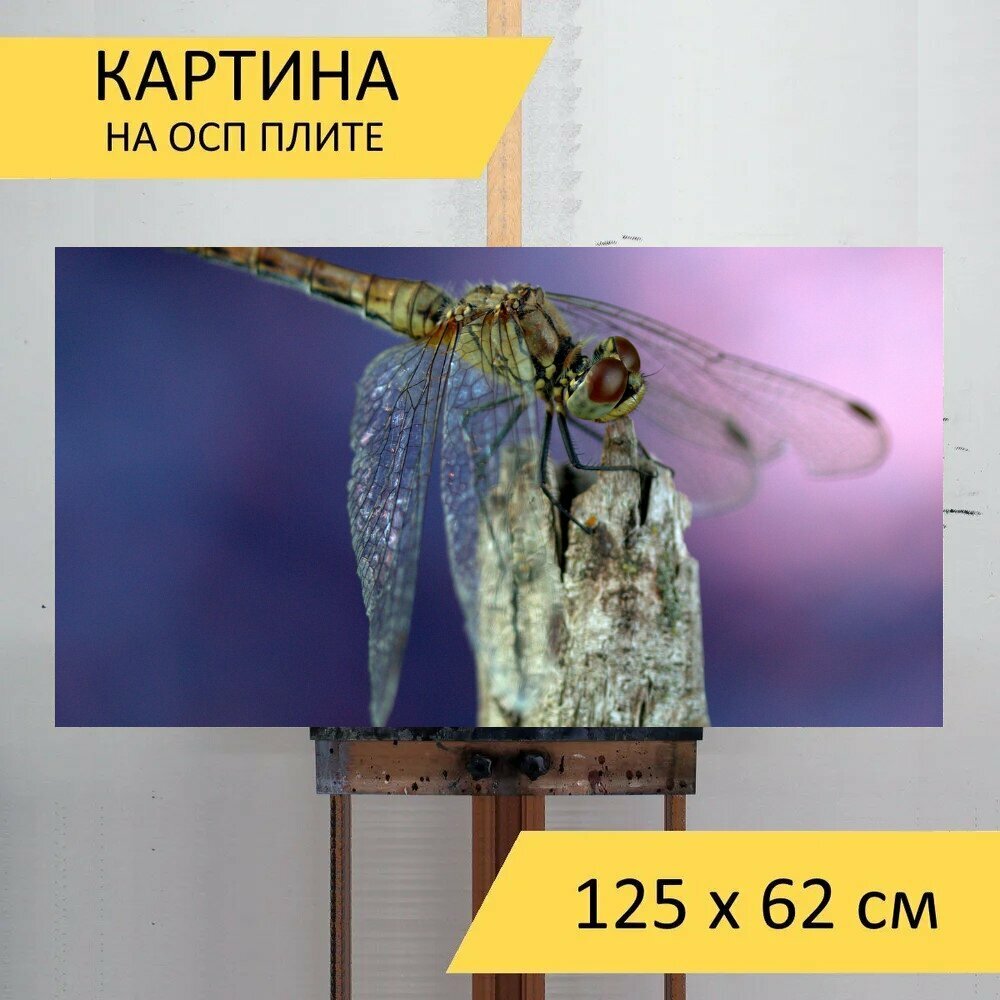 Картина на ОСП 125х62 см. "Стрекоза, флюгер, насекомое" горизонтальная, для интерьера, с креплениями