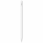 Стилус Apple Pencil (USB-C) (2023)