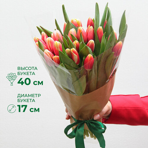 Букет цветов из Тюльпанов 25 шт жар-птица