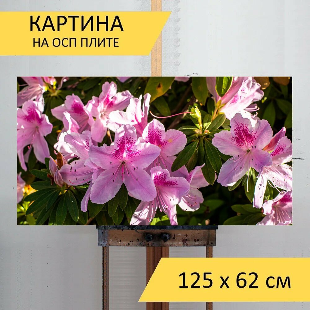 Картина на ОСП 125х62 см. 