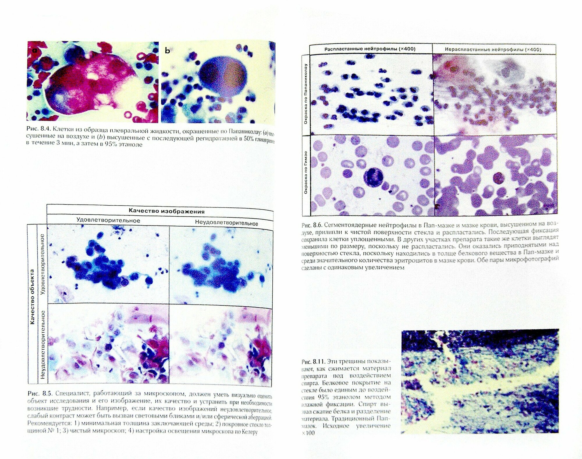 Клиническая цитология. Теория и практика цитотехнологии - фото №2