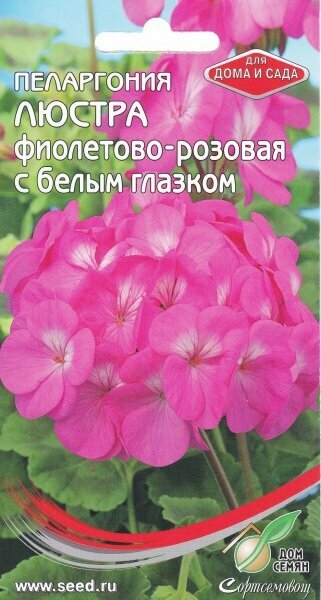 Пеларгония Люстра филетово-розовая с белым глазком Дом Семян 50469