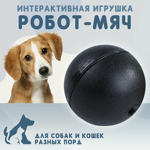 Интерактивный робот-мяч для собак и кошек крупных, средних и мелких пород, автоматическая игрушка для котят, дразнилка VarietyStore