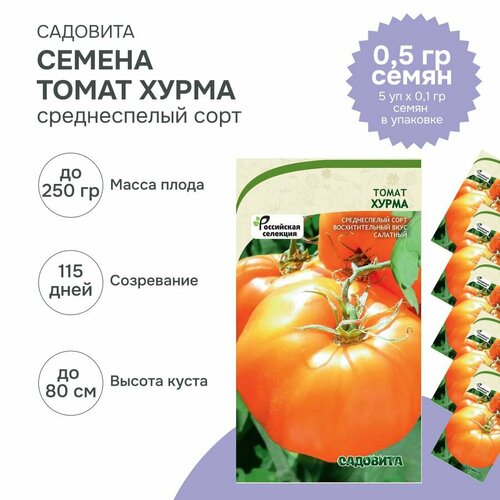 Семена низкорослых оранжевых томатов Хурма
