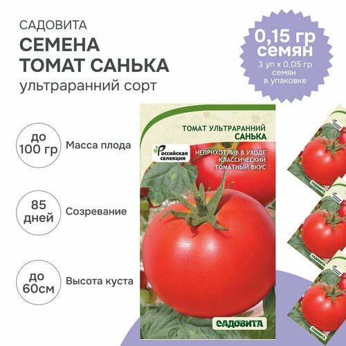 Семена низкорослых томатов Санька