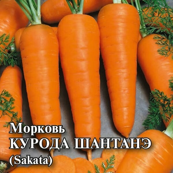 Семена Морковь Курода Шантанэ 25г Гавриш Фермерское подворье Sakata