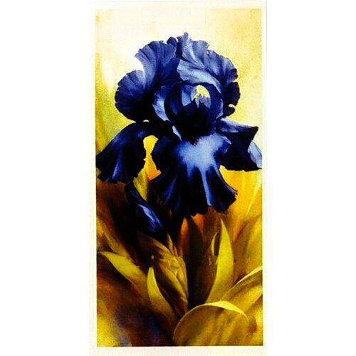 Алмазная мозаика 22*40см птицы, павлин, маки натюрморт, цветы, роза, пионы, букет, ирисы. Поп-арт детская/взрослая без подрамника, частичная выкладка