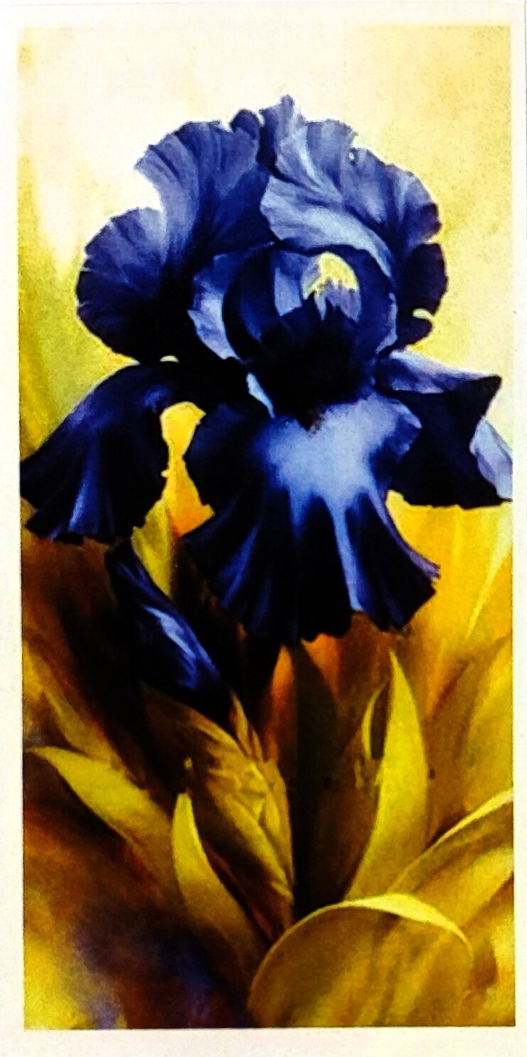 фото Алмазная мозаика 22*40см птицы, павлин, маки натюрморт, цветы, роза, пионы, букет, ирисы. Поп-арт детская без подрамника, частичная выкладка