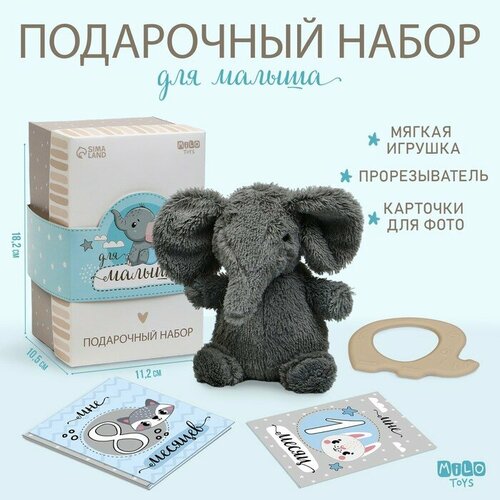 мягкая игрушка слон dario macabro серый 25 см Набор подарочный: Мягкая игрушка+прорезыватель+карточки для фото Слон