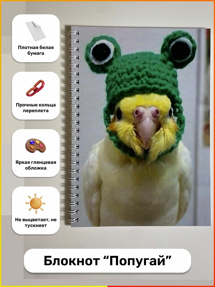 Блокнот А5 "Попугай" (Скетчбук для рисования)