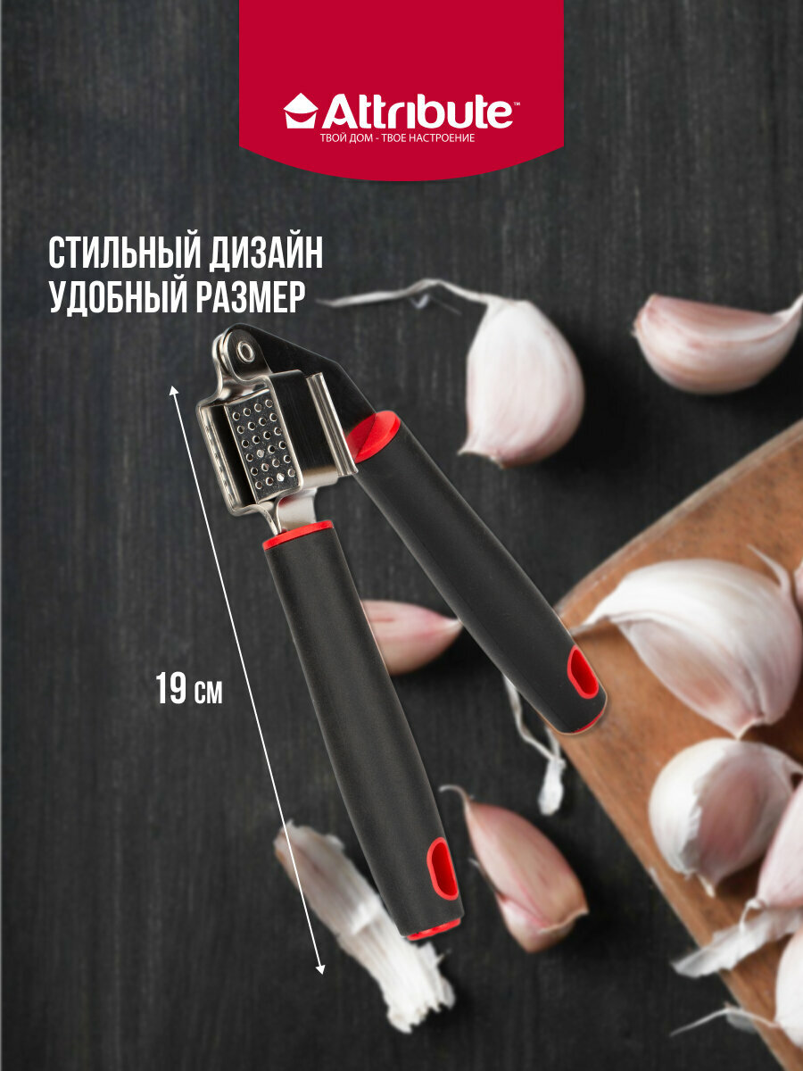 Пресс для чеснока/чеснокодавилка "ESTILO" ATTRIBUTE GADGET, пластик/нержавеющая сталь, черный — фото 1