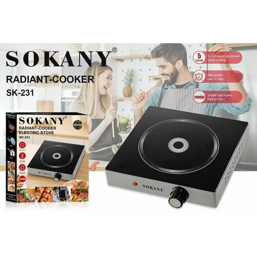 Одноконфорочная Плитка SK231 399900₽