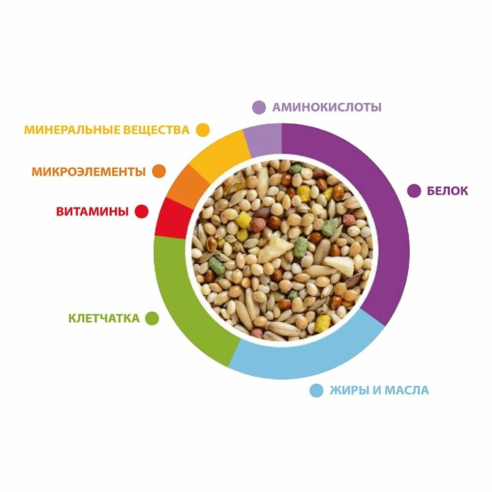 Padovan Wellness Mix Корм полнорационный для волнистых попугаев, 1 кг - фото №3