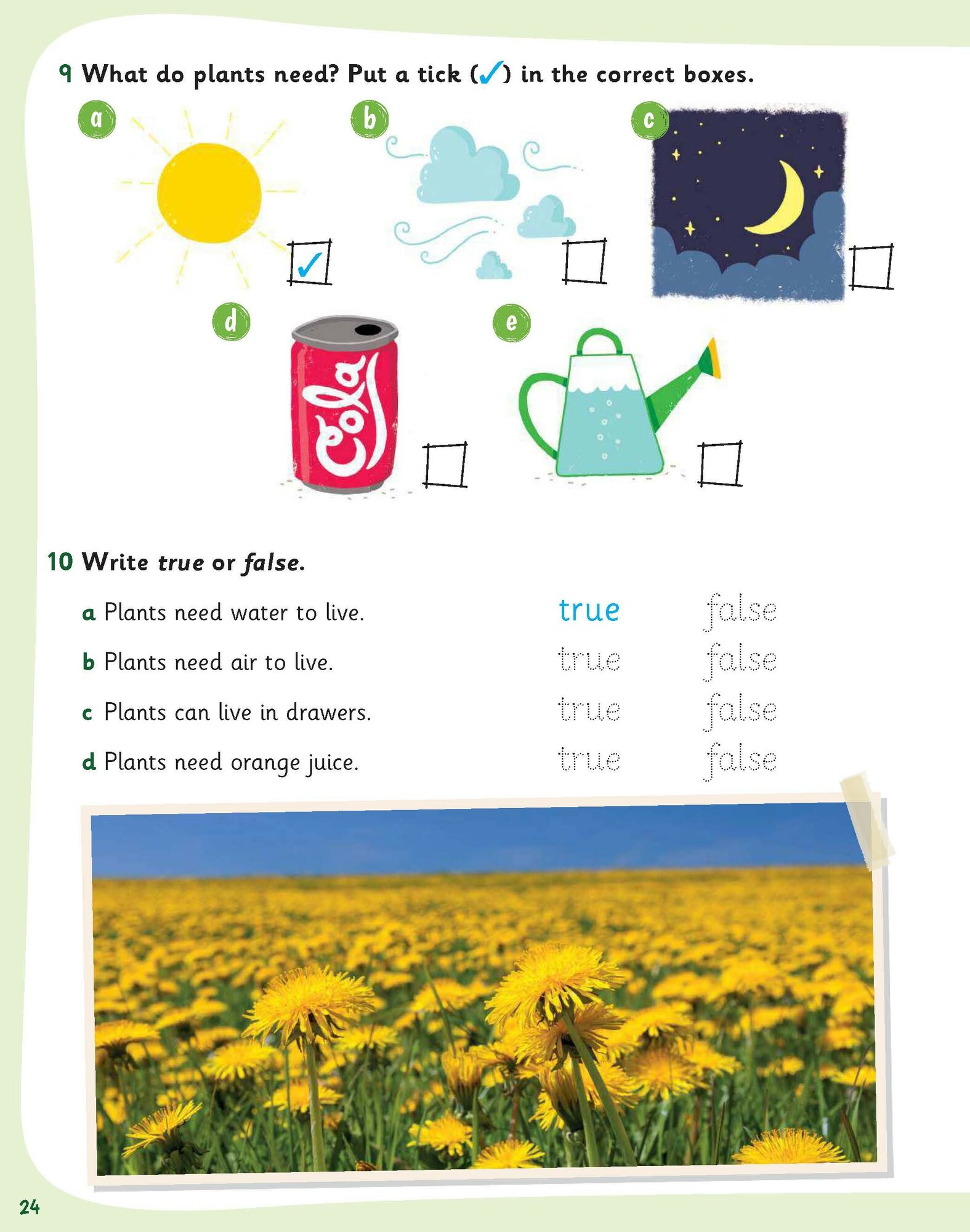 Science Skills. Level 1. Activity Book with Online Activities - фото №2