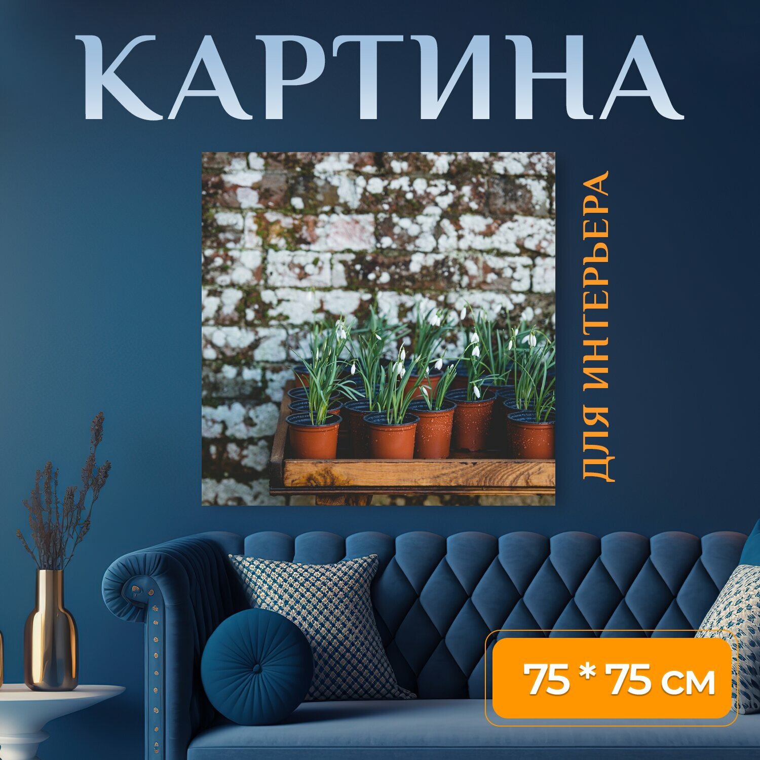 Картина на холсте "Растения, цветок, тюльпаны" на подрамнике 75х75 см. для интерьера
