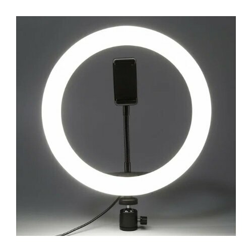 Кольцевая лампа для профессионального освещения 26см 200000₽