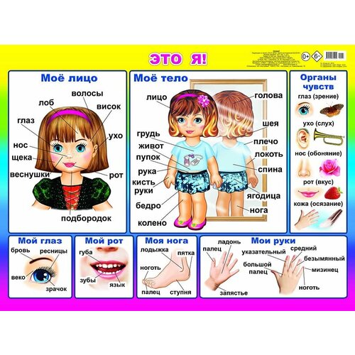 Плакат А2 Это я 00057 0 322₽