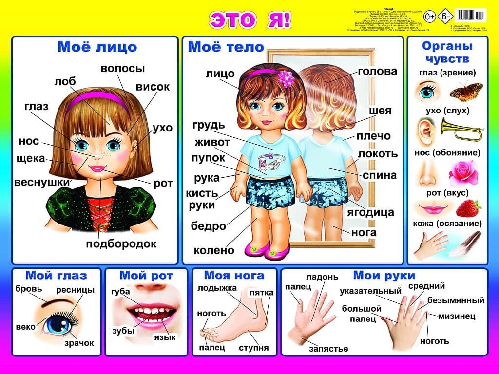 Плакат А2 Это я 00057 0+