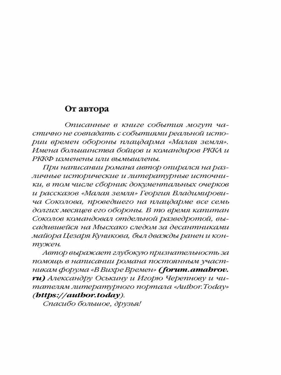 Морпех. Малая земля (Таругин Олег Витальевич) - фото №15
