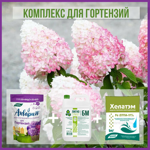 Удобрение для гортензий